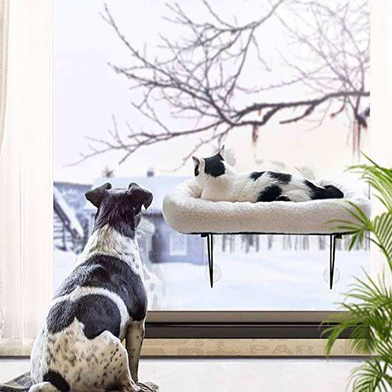 Hamac de Fenêtre pour Chat - Couchage Confortable avec Vue Panoramique - FELINA
