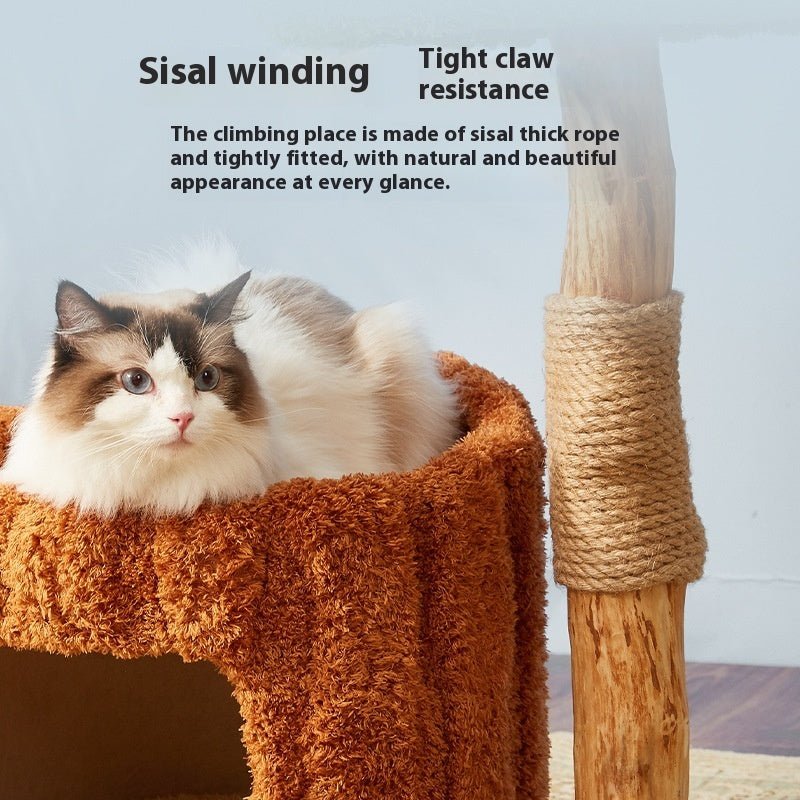 Arbre à Chat Compact Design - Centre Activité Sisal Naturel - FELINA