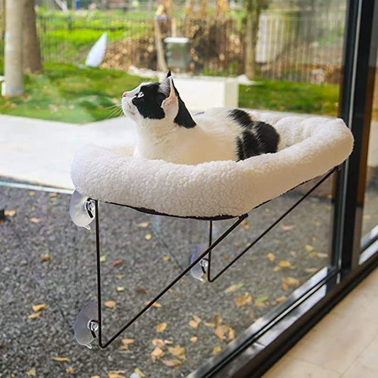 Hamac de Fenêtre pour Chat - Couchage Confortable avec Vue Panoramique - FELINA