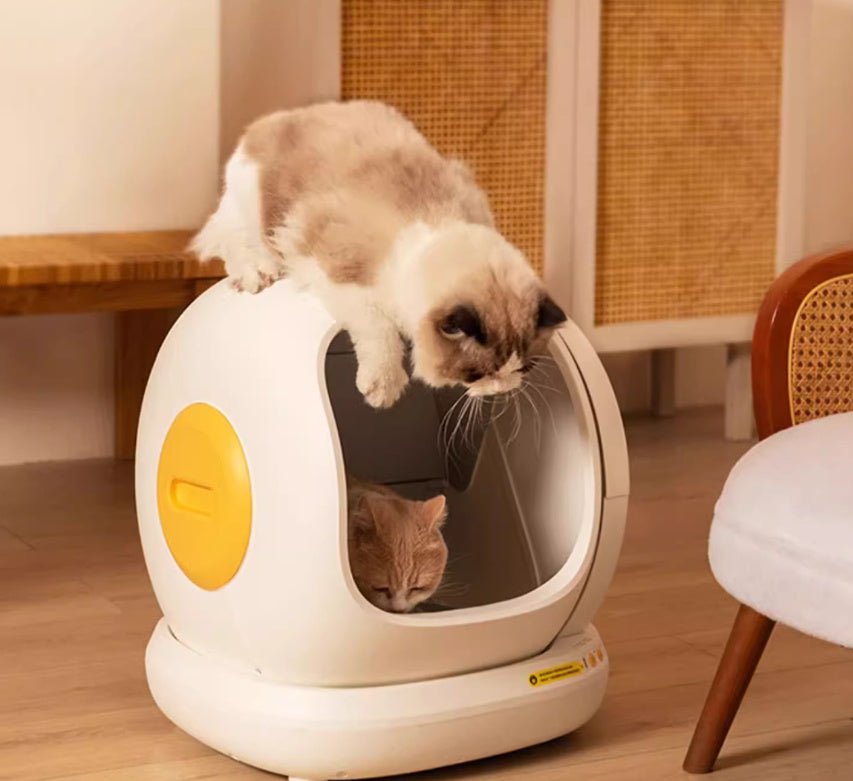 Litière Automatique Chat Intelligente - Autonettoyante Premium - FELINA