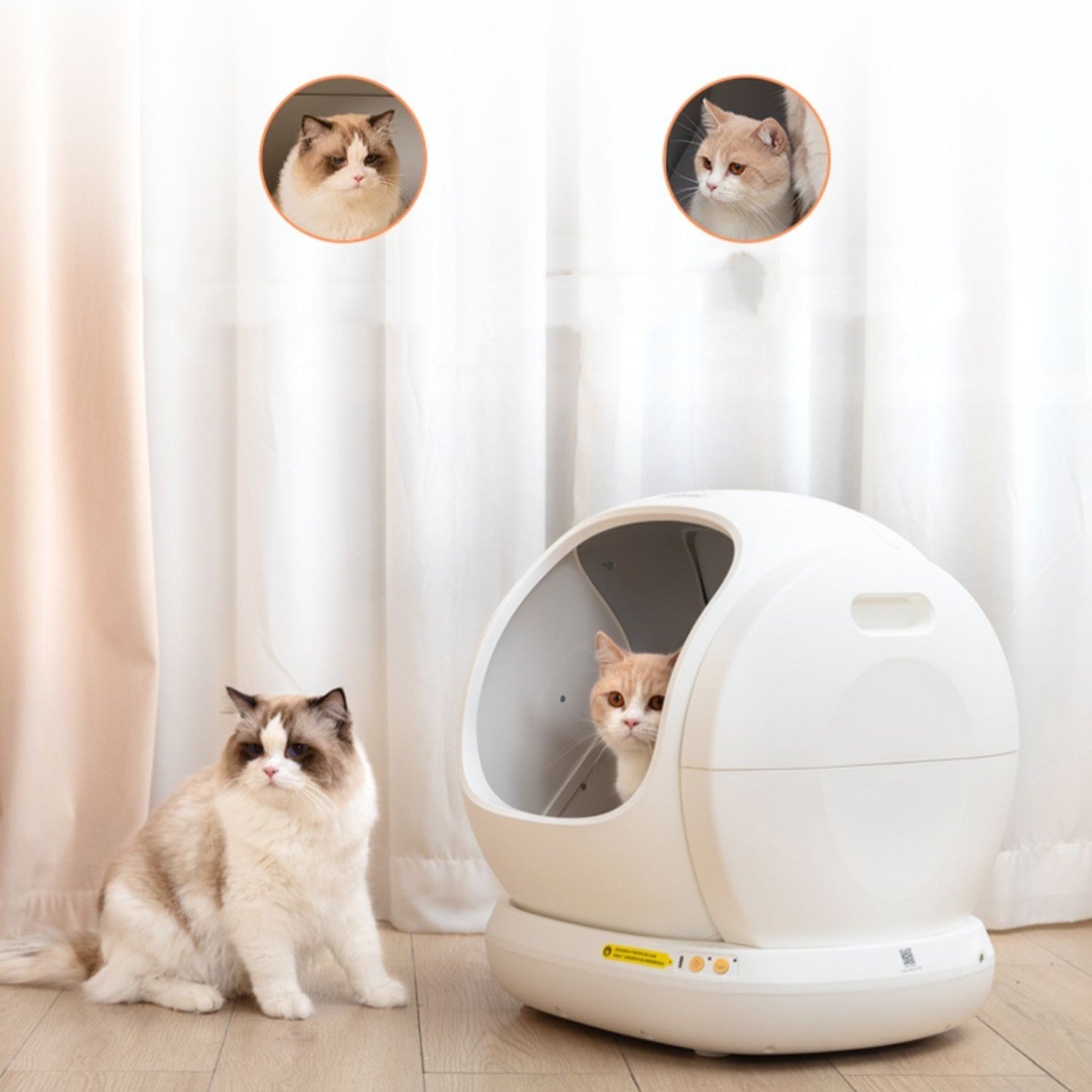 Litière Automatique Chat Intelligente - Autonettoyante Premium - FELINA