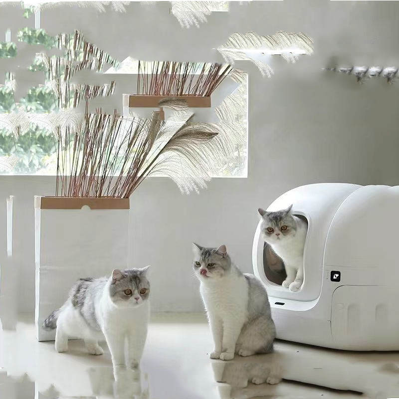 Litière Intelligente Luxe Chat - Autonettoyante Capteurs - FELINA