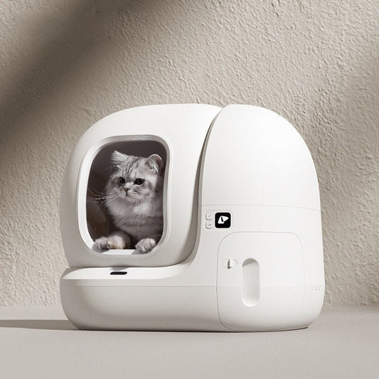 Litière Intelligente Luxe Chat - Autonettoyante Capteurs - FELINA