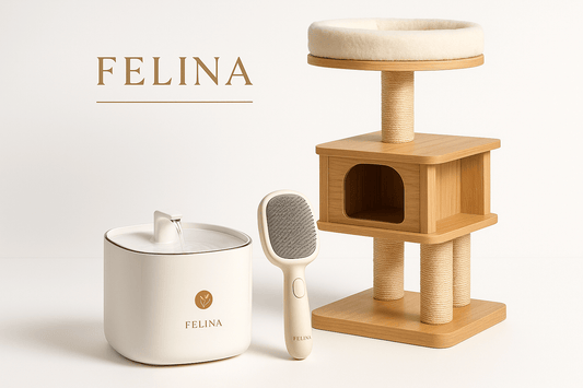 Pack Premium Essentiel - FELINA