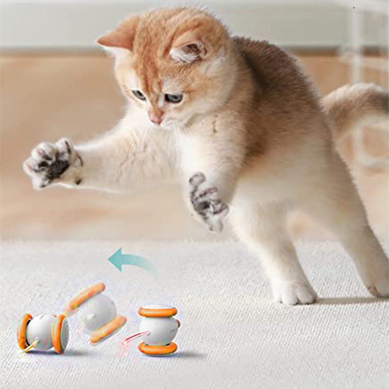 Souris Électronique Interactive Chat - Jouet Automatique Réaliste - FELINA
