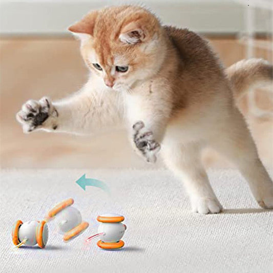 Souris Électronique Interactive Chat - Jouet Automatique Réaliste - FELINA